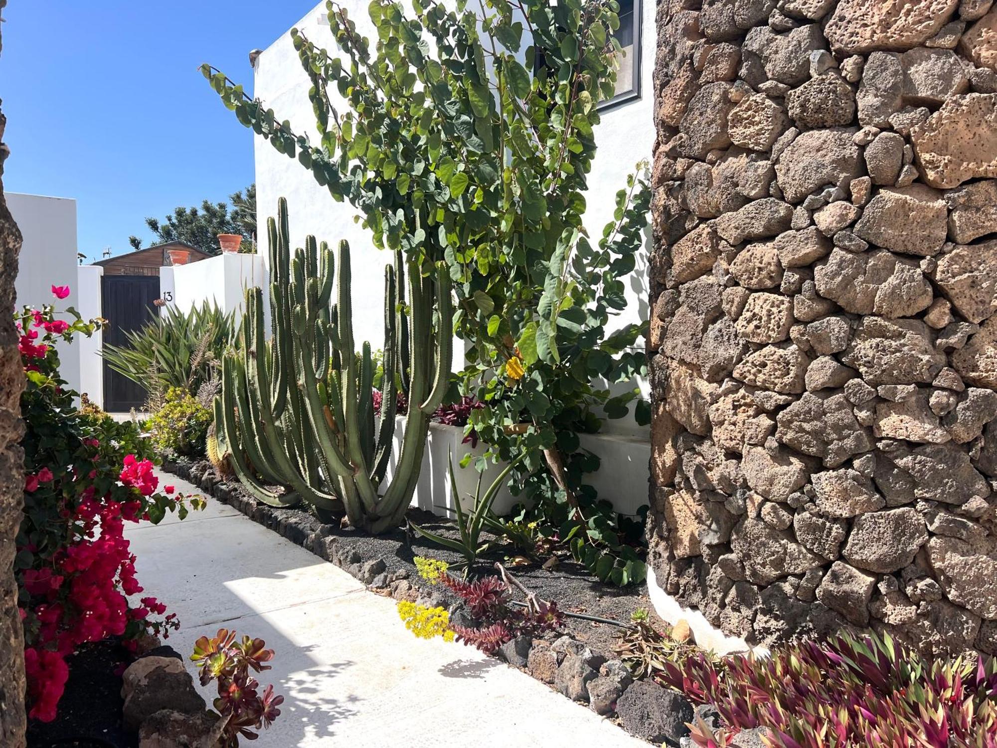 הוילה קוסטה טגוויסה Oasis En Lanzarote מראה חיצוני תמונה